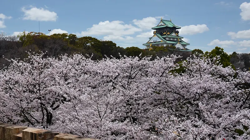 Osaka Castle Overview and Top Spots