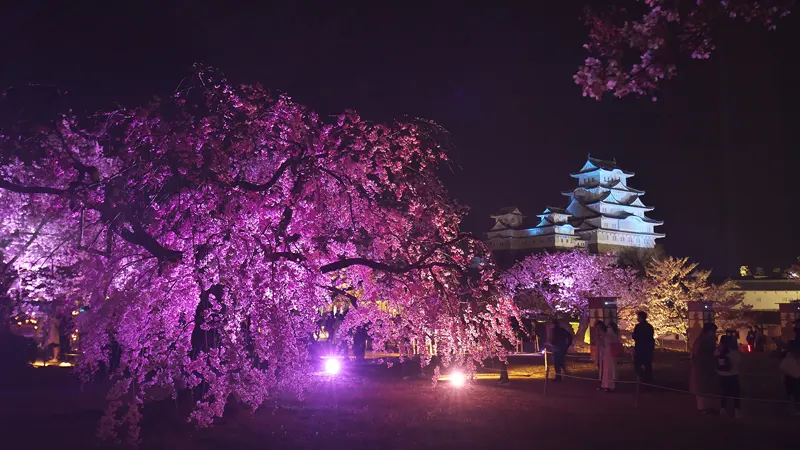 Your Guide to Himeji Castle