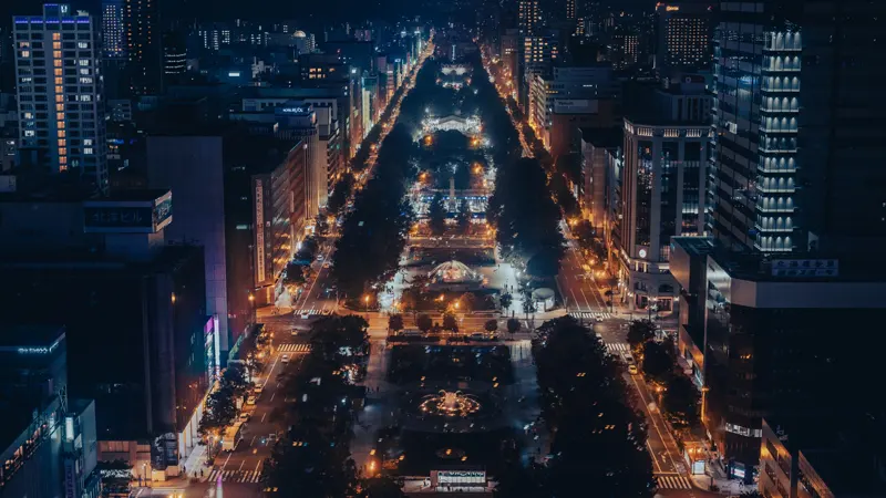 Night city view from TV Tower
