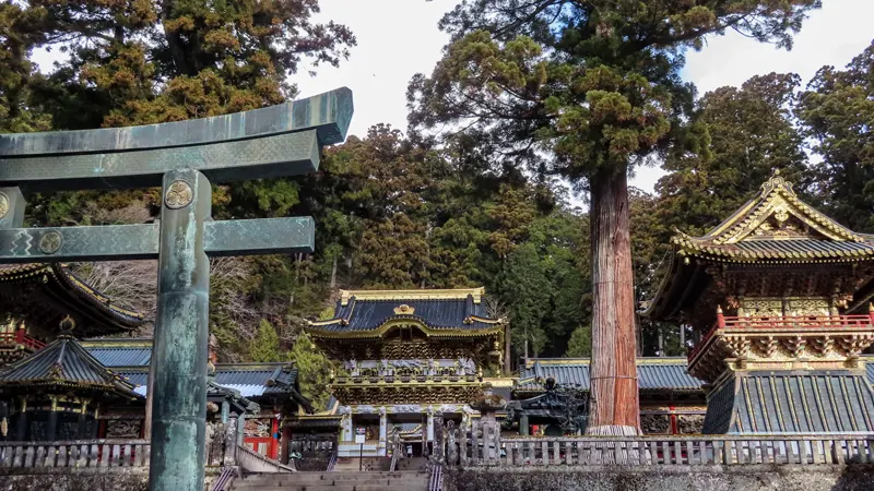 Health and Safety Tips for Your Nikko Visit