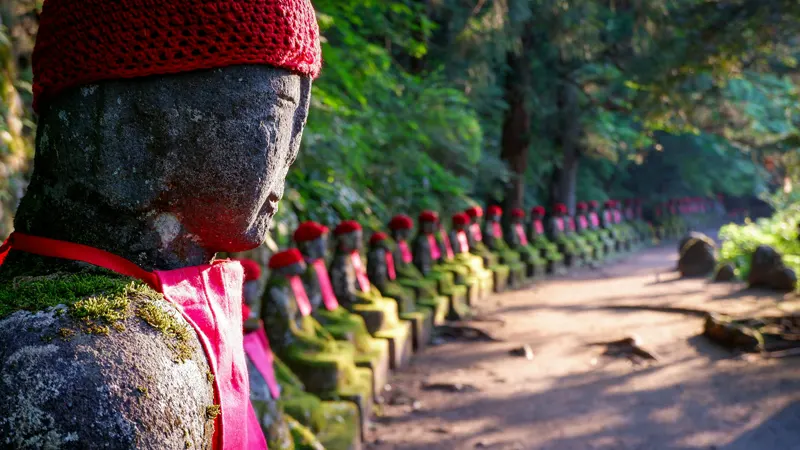 Health and Safety Tips for Your Nikko Visit