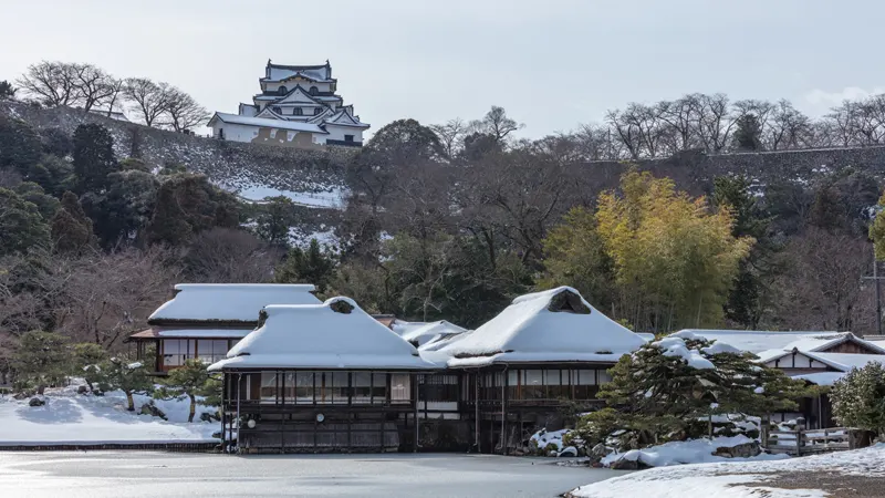 When to Visit Hikone Castle: Seasonal Tips