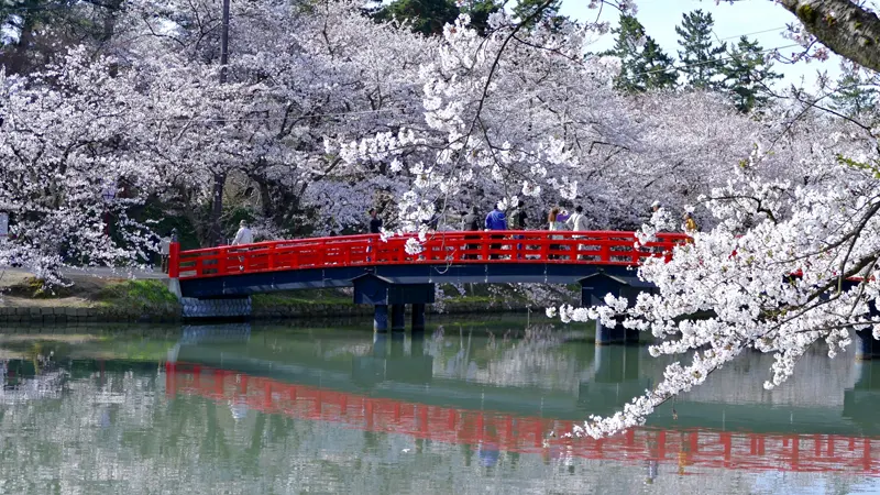 Top Sights and Must-Visit Spots at Hirosaki Castle