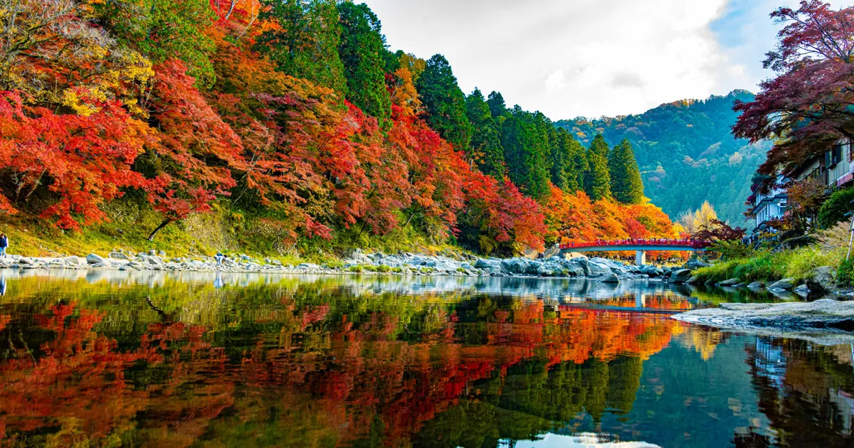 Autumn Foliage in Japan