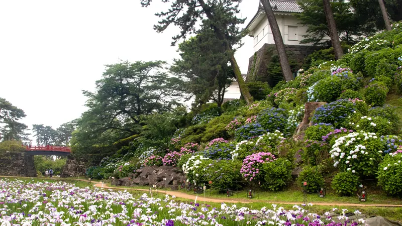 Exciting Activities to Enjoy at Odawara Castle