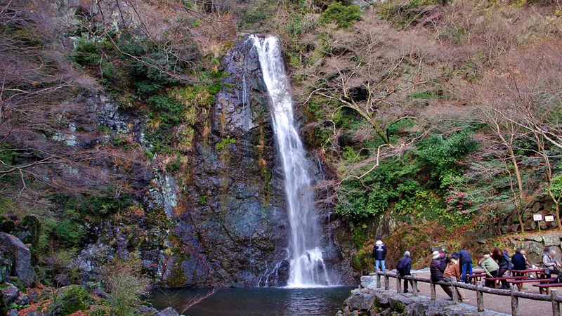 Osaka: Minoh Park – A Serene Autumn Escape