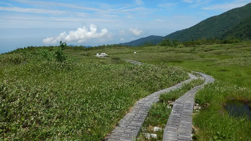 Midagahara Alpine Wetlands and Trails