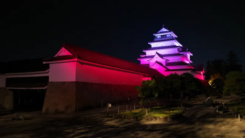 Night illumination of Tsuruga Castle