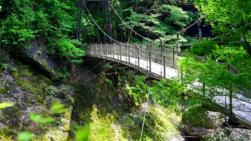 Suspension bridge with valley view