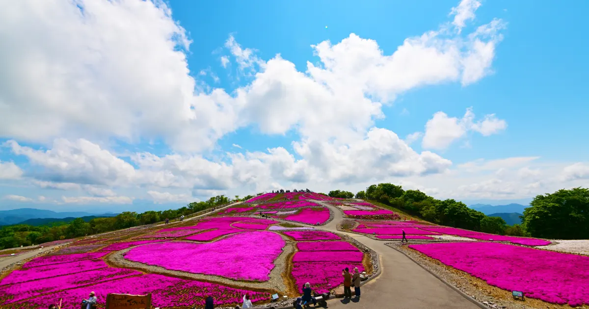 Chausuyama Plateau