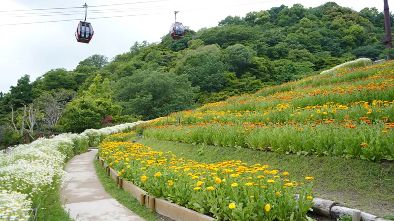 Herb Garden and ropeway ride