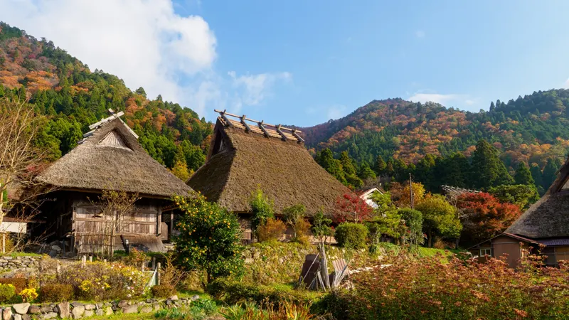 Thatched houses in spring bloom