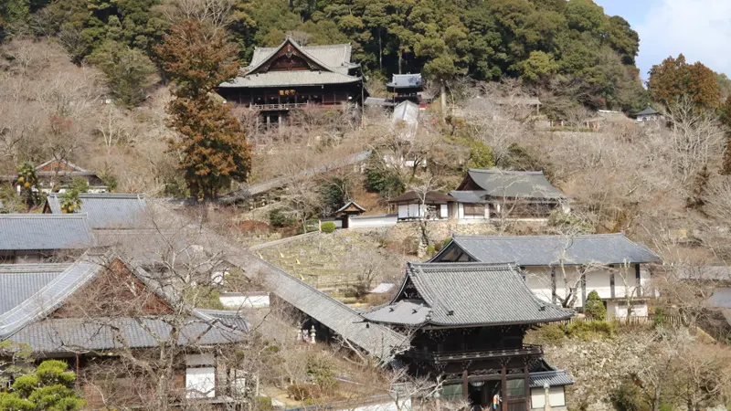 Scenic temple approach walk
