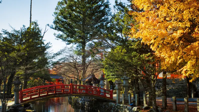 Autumn leaves at Ryusenji Temple