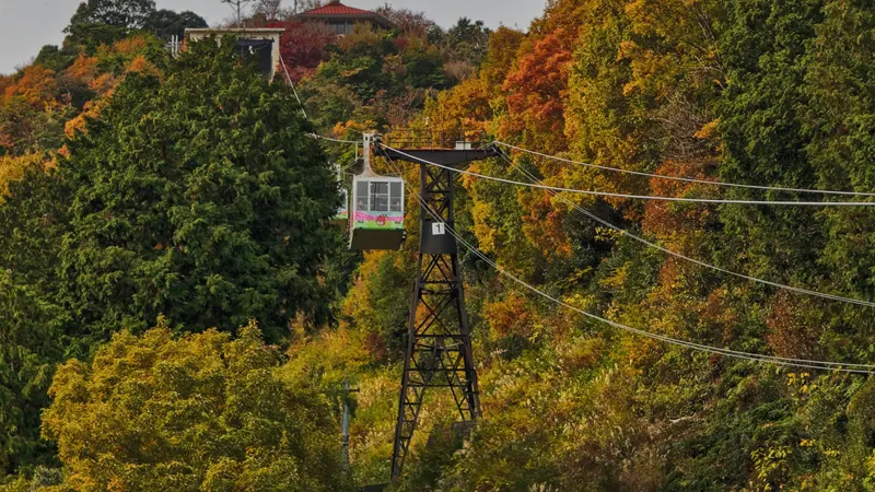 Autumn foliage with ropeway