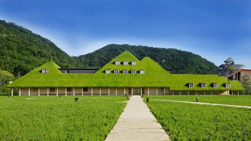La Collina’s grass-roof building