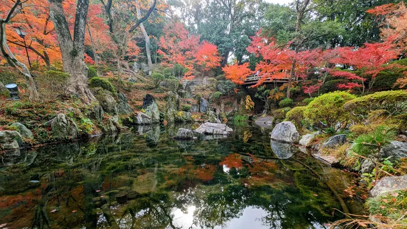 Momijidani Garden with fall leaves