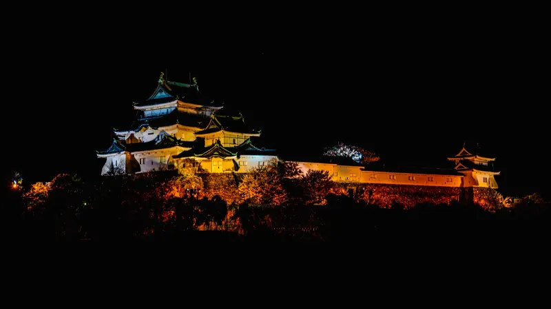 Wakayama Castle illuminated at night