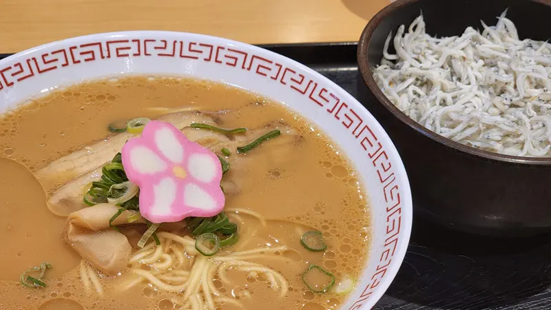 Shirasu rice bowl and Wakayama ramen