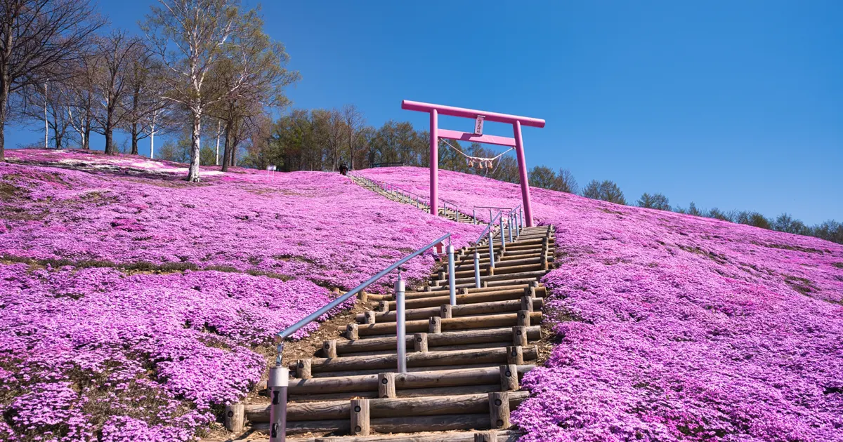 Higashimokoto Shibazakura Park