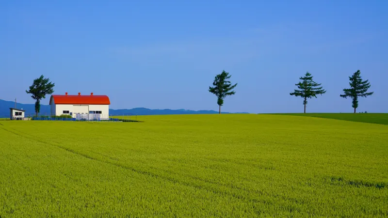 Scenic farmland at Marchen Hill
