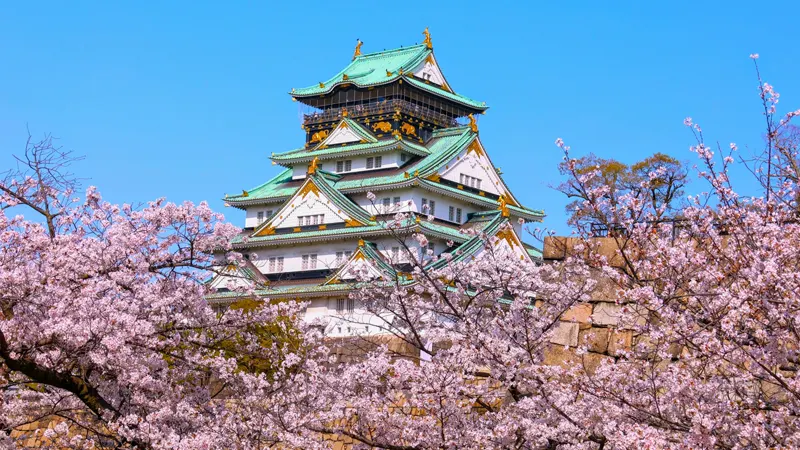 Osaka Castle and blossoms