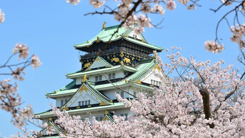 Osaka Castle and blossoms