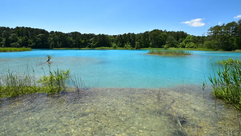 Goshikinuma Ponds summer