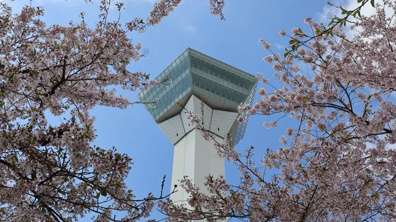 Looking up at Goryokaku Tower