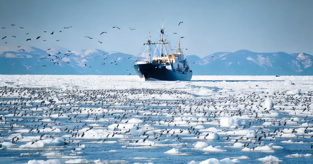 Drift Ice Sightseeing in Abashiri