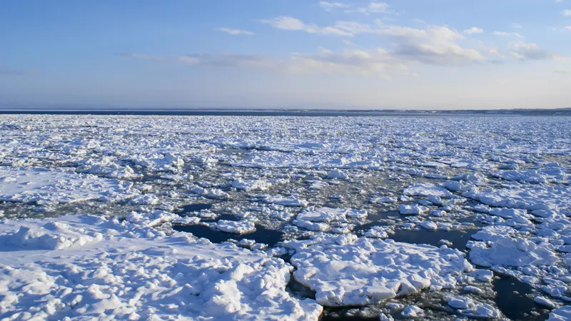 Drift ice field viewed from Aurora