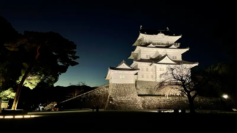 Odawara Castle illuminated at night