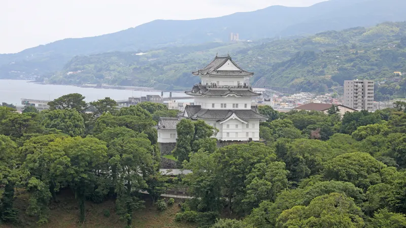 Odawara Castle and Sagami Bay