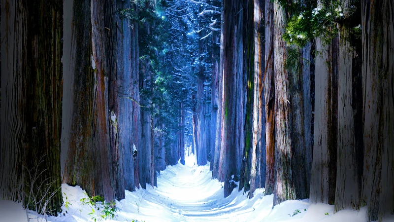 Okusha snowy pathway
