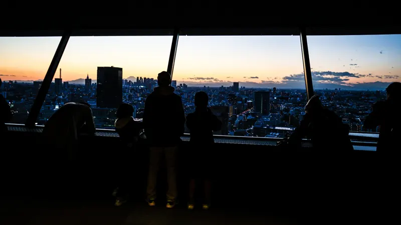 Angled window structure view