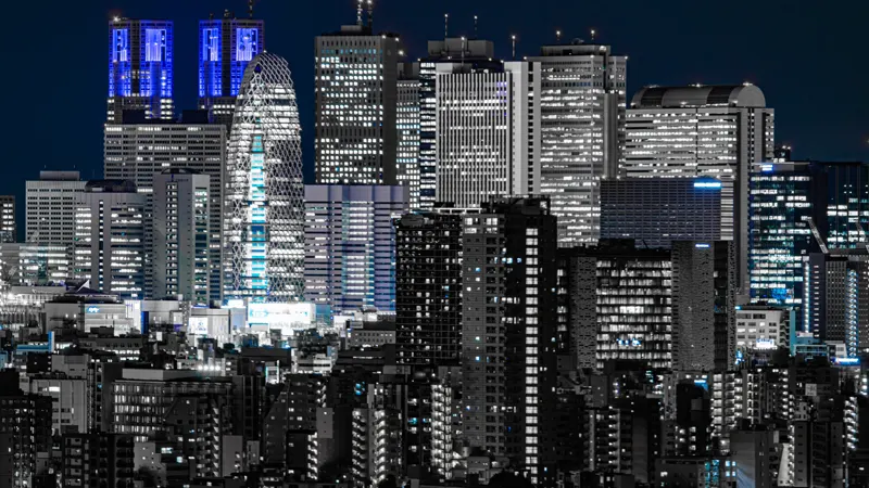 City view from Bunkyo Civic Center