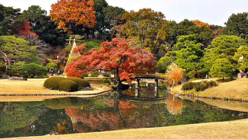 Rikugien foliage season scene