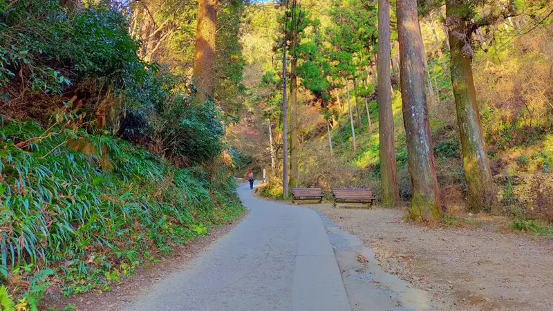 Mount Takao Route 1 pathway