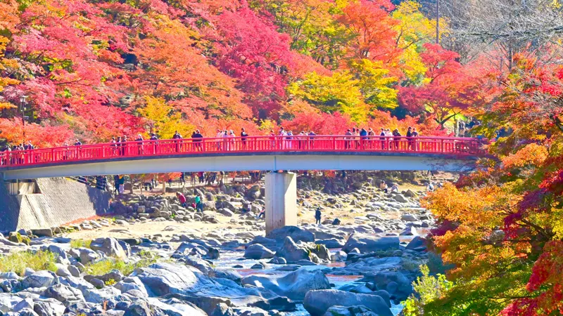 Taigetsukyo Bridge over Tomoegawa