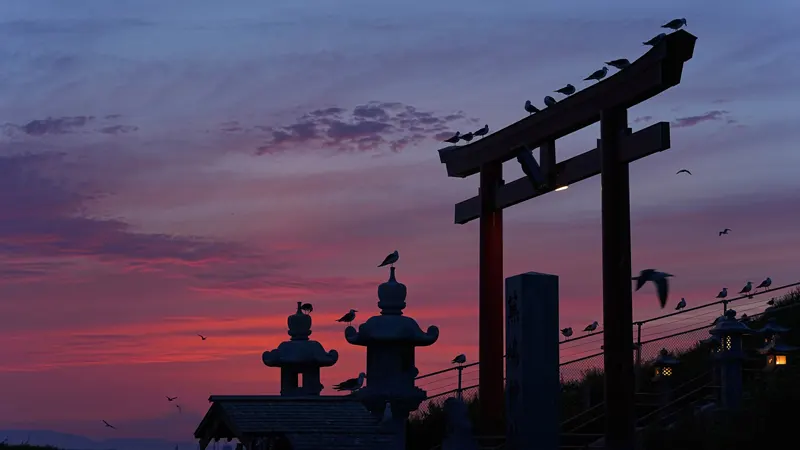 Kabushima Shrine torii at sunset