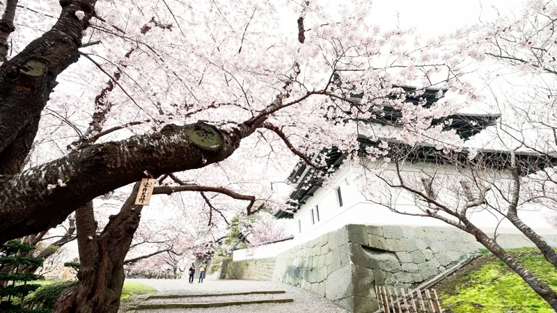 Historic stone walls