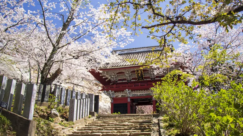 Stone steps and temple path