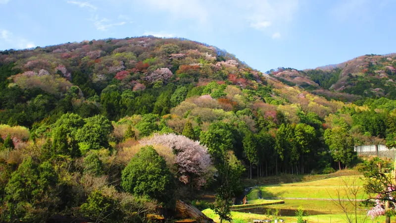 Rural landscape of Sakuragawa
