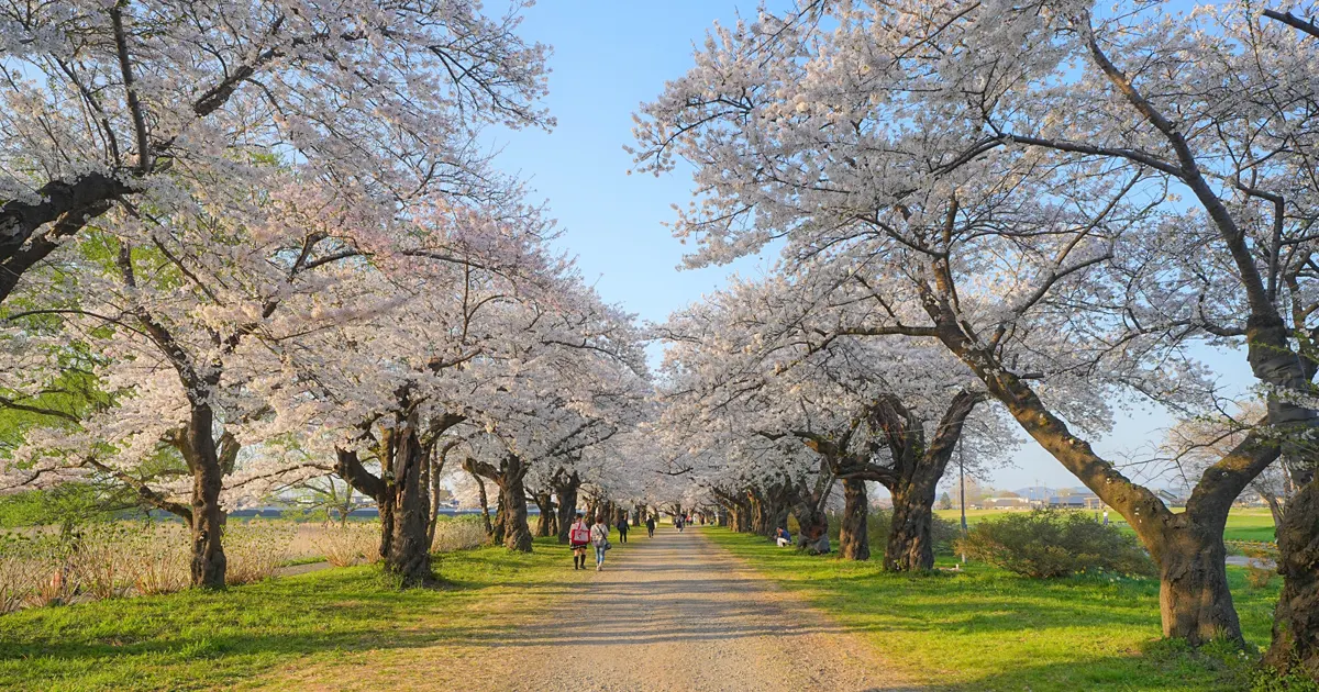 Kitakami Tenshochi Park