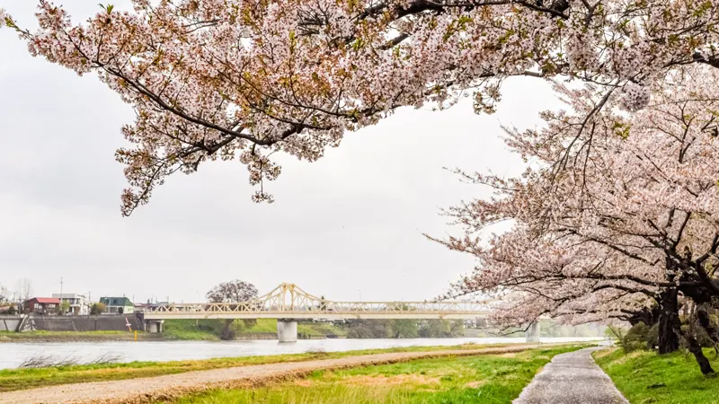 Riverside park walking route