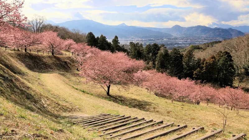 Oi Yume no Sato green landscape