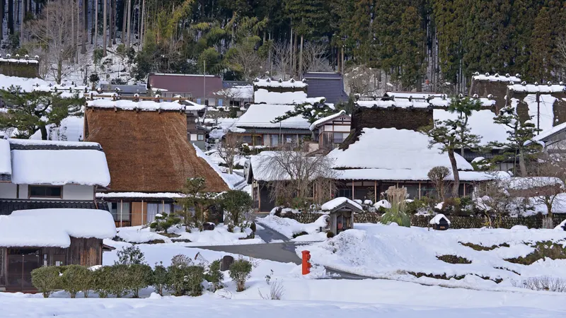 Snow covered thatched roof