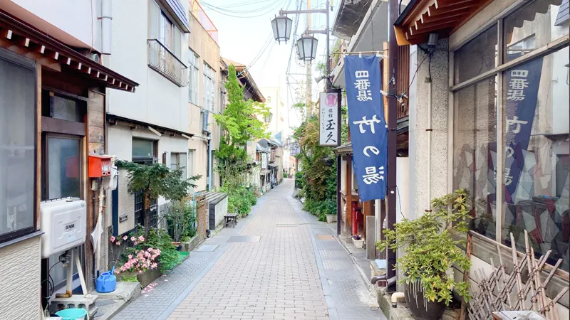 Lanterns Along Shibu Onsen Street