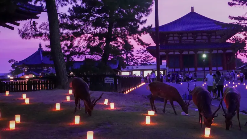 Lanterns at Kofukuji Temple grounds