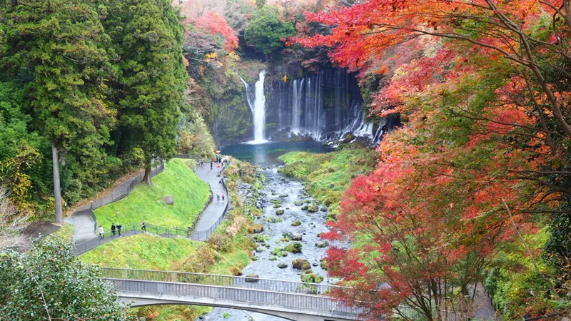 Autumn view of Joren Falls